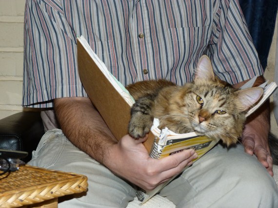 Cali likes to "help" Mike study.