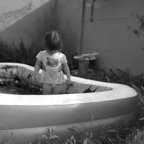 IMG_20171003_170003849