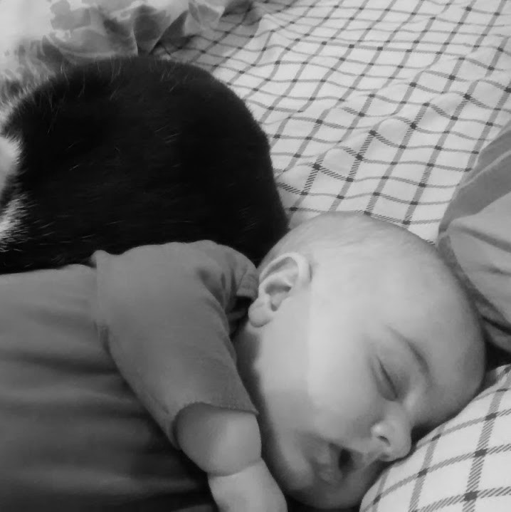 IMG_20171004_190349984