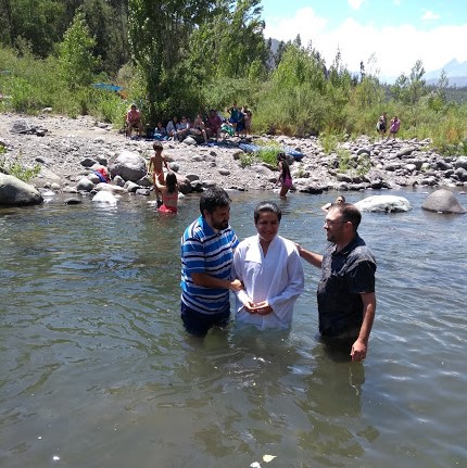 IMG_20190203_133230116 (1)